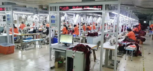 客服火線入職備戰(zhàn)天貓雙11，流水線24小時趕工，不夜廠點亮江蘇咨詢策劃服務